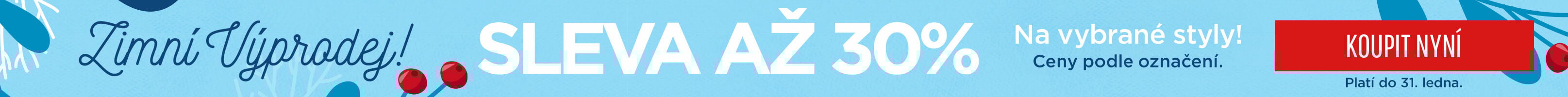 Winter Sale Skinny Banner North/UK